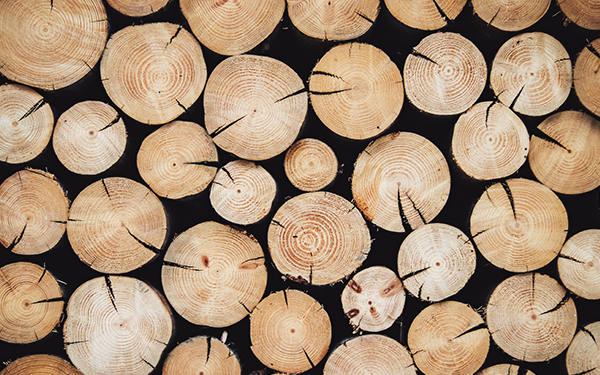 ترک خوردن چوب و بررسی راه‌کارهای جلوگیری از ترک خوردن محصولات چوبی