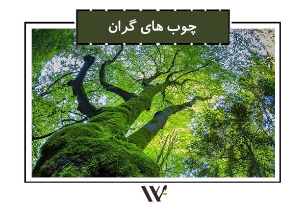 Read more about the article چوب‌های گران