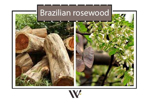 روز فود برزیلی Brazilian rosewood