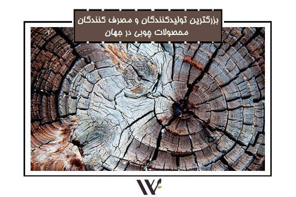 Read more about the article بزرگترین تولیدکنندگان و مصرف کنندگان محصولات چوبی در جهان