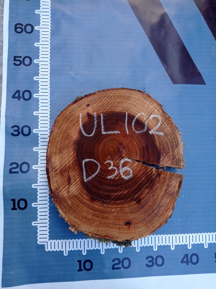 UL102-D36