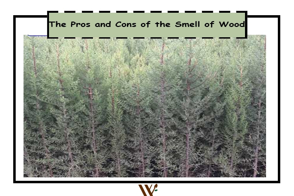 The Pros and Cons of the Smell of Wood